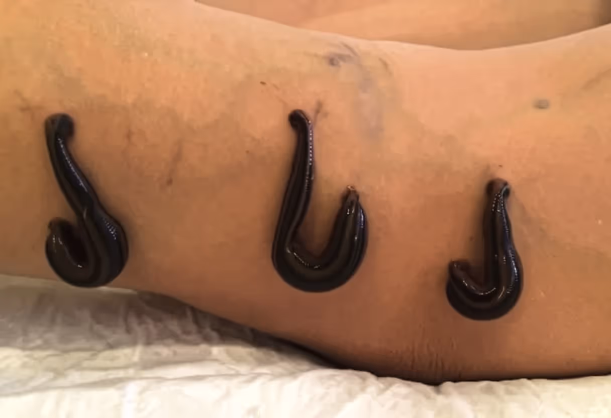 [background image] retail setting with neatly arranged products (for a pharmacy)